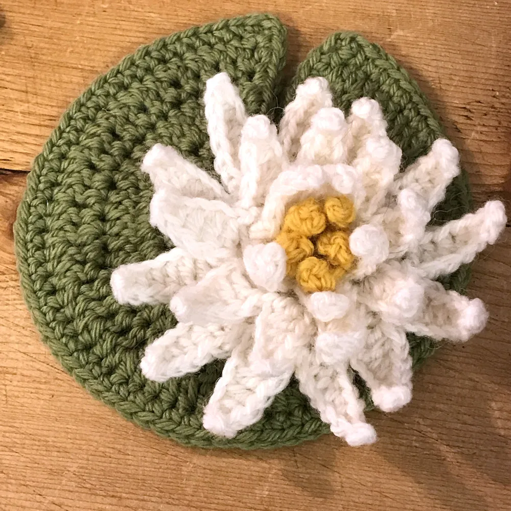 (20) Twenty to Crochet Book: Crocheted Flowers to Wear