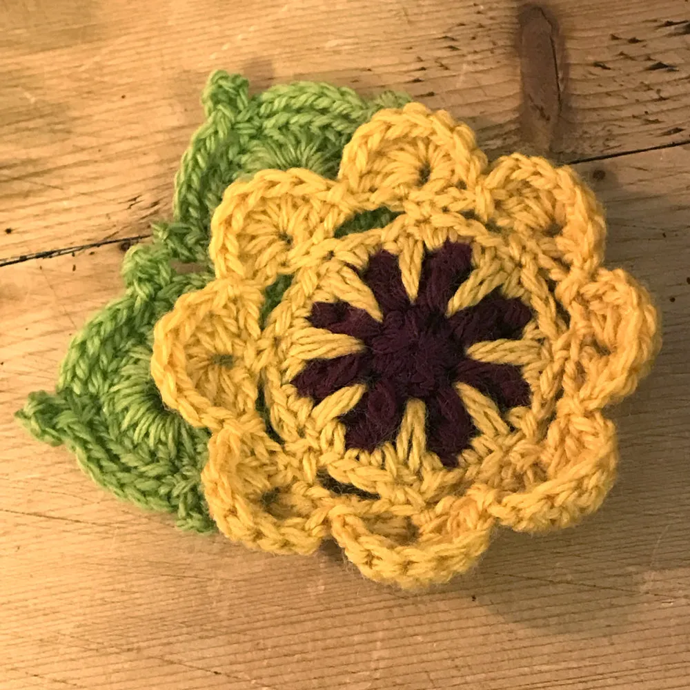 (20) Twenty to Crochet Book: Crocheted Flowers to Wear