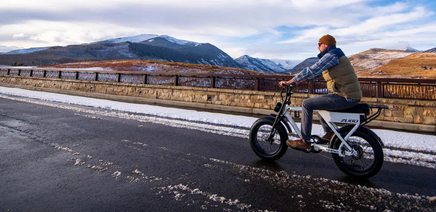 ZuGo Ebike - Step-Over